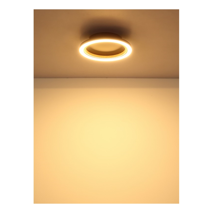 Globo - LED taklampa LED/12W/230V 3000K diam. 20,5 cm