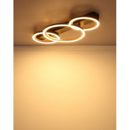 Globo - LED taklampa LED/40W/230V 3000K 58x30 cm