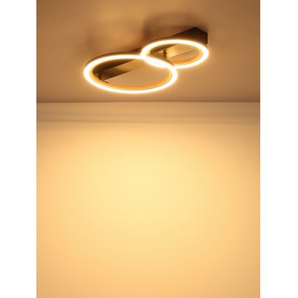 Globo - LED-taklampa 30W/230V 3000K 44x30 cm