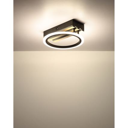 Globo - LED takarmatur LED/10W/230V 3000/4200/600K 25x25 cm