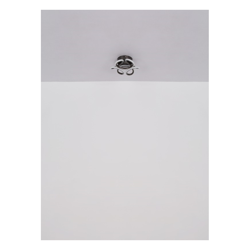 Globo - LED Taklampa LED/24W/230V 2700/4000/6000K Ø 26 cm svart
