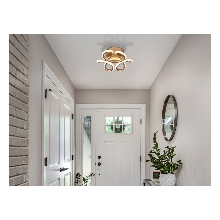 Globo - LED Taklampa LED/24W/230V 2700/4000/6000K Ø 26 cm guld