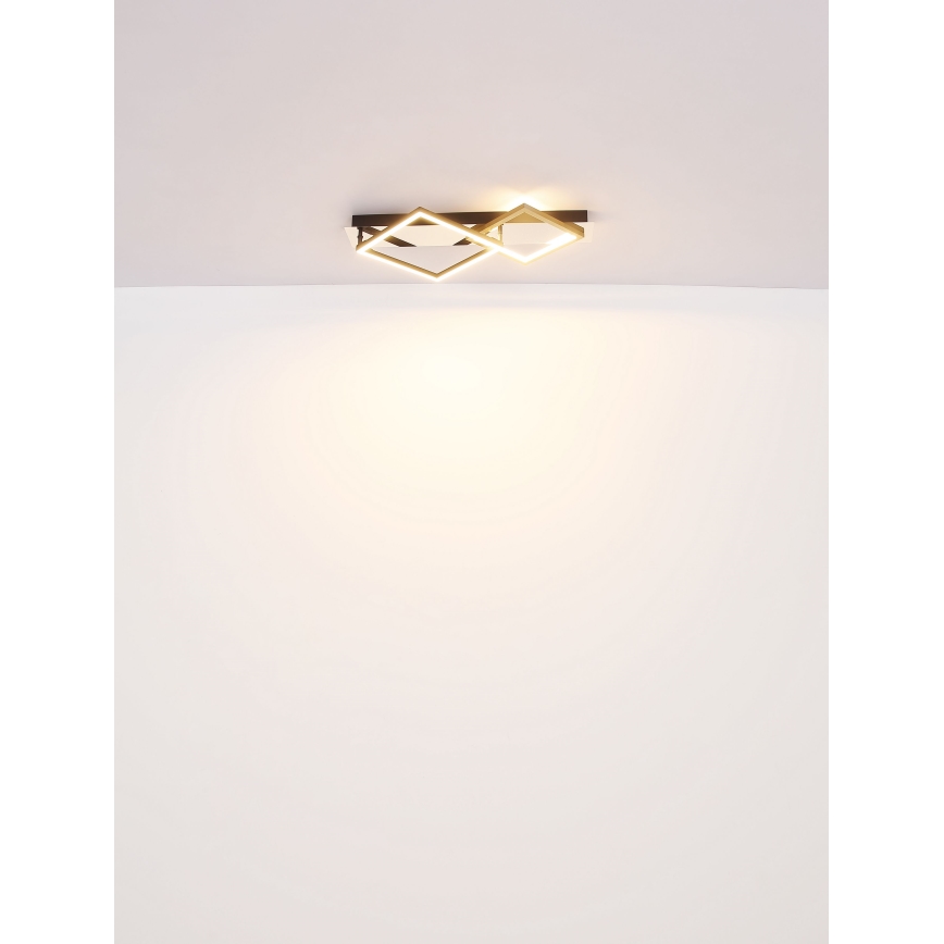 Globo - LED taklampa LED/24W/230V 3000K