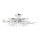 Globo 68541-5 - Takbelysning FLASH 5xE14/40W