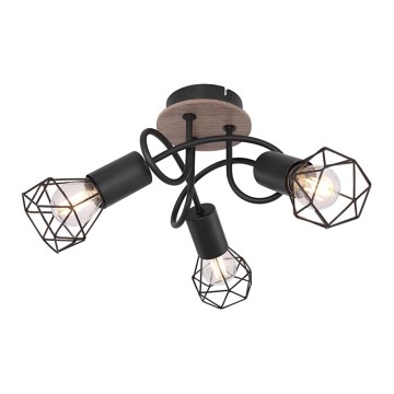 Globo - Fastsatt Ljuskrona  3xE14/40W/230V