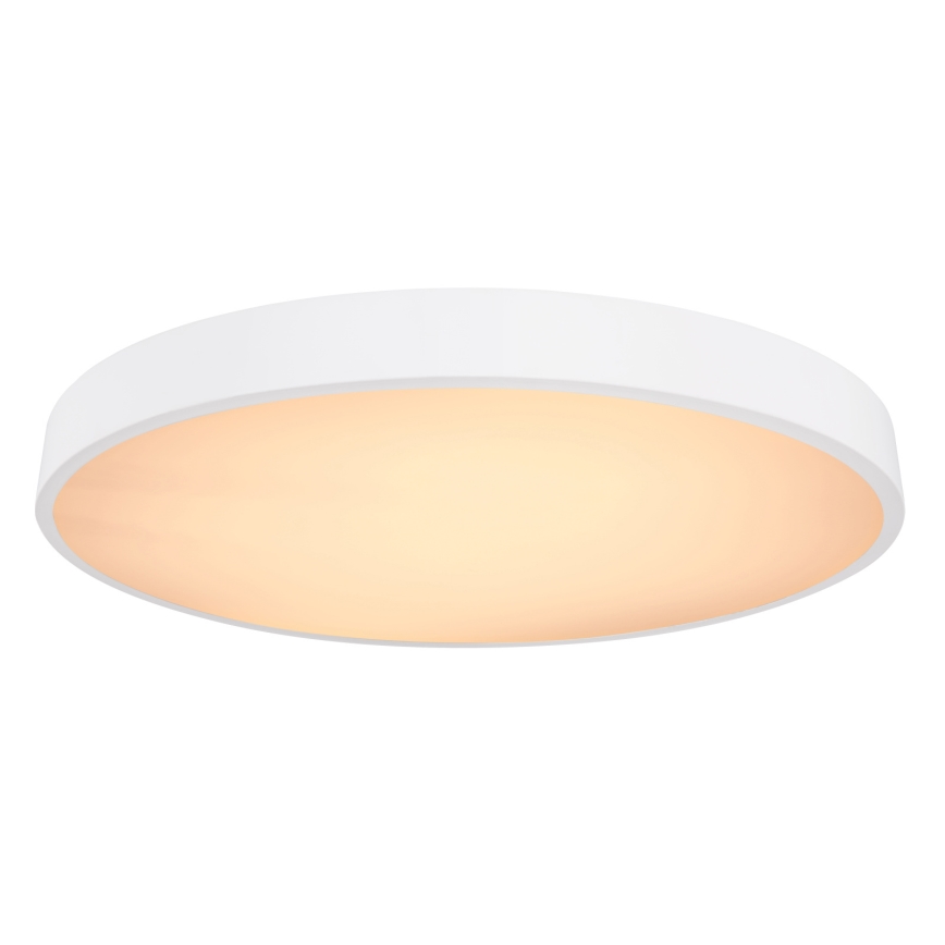 Globo - LED Dimbar taklampa LED/48W/230V 3000-6000K + fjärrkontroll