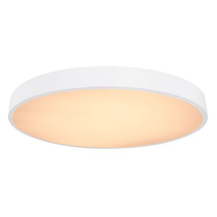 Globo - LED dimbar taklampa LED/48W/230V 3000-6000K + fjärrkontroll