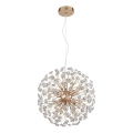 Globo - LED-ljuskrona på vajer 8xG9/3,5W/230V guld