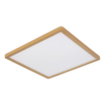 Globo - LED ljusreglerad taklampa till badrum LED/24W/230V 3000K IP44 42x42 cm mässing