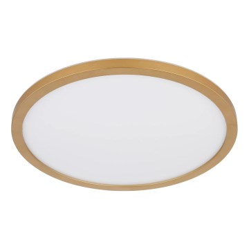 Globo - LED ljusreglerad taklampa till badrum LED/24W/230V 3000K IP44 diameter 42 cm mässing