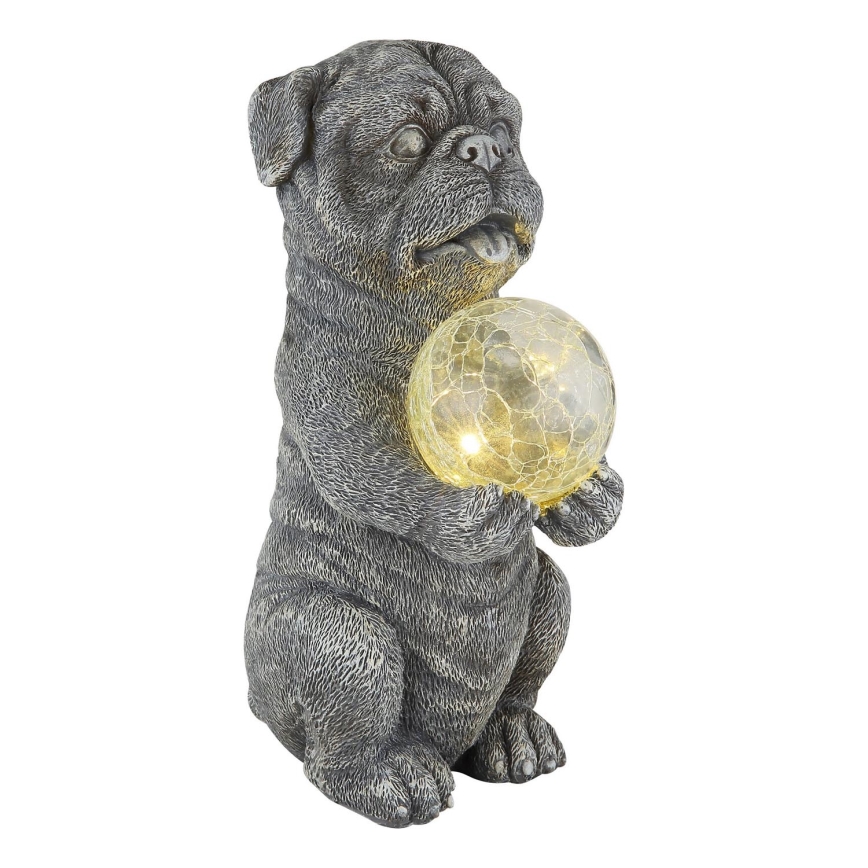 Globo - LED Solcell dekoration LED/0,02W/3V IP44 300 mAh hund