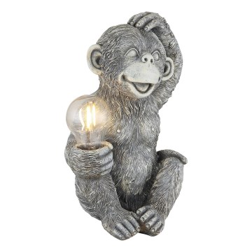 Globo - LED Solcell dekoration LED/0,02W/3V IP44 apa