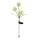 Globo  - LED solcellsbelysning 3xLED/0,06W/3V 5000K IP44 gul
