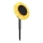Globo - LED Solcellsbelysning LED/0,06W/3V solros IP44 800 mAh