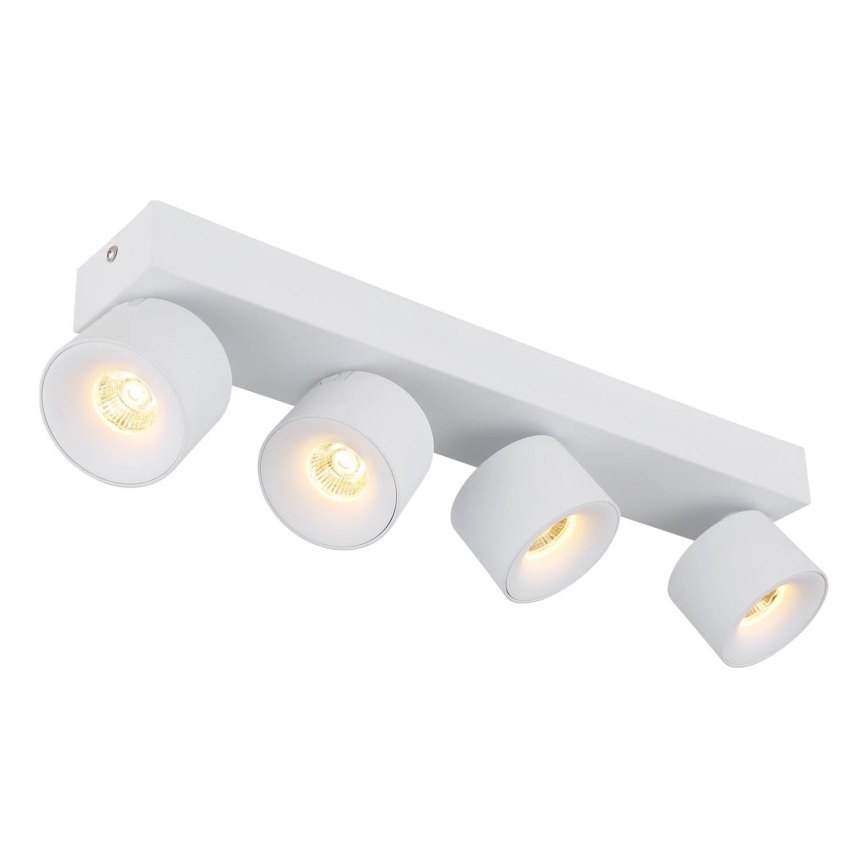 Globo - LED spotlight 4xLED/6W/230V vit