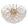 Globo - LED taklampa 6xG9/3,5W/230V guld