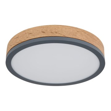Globo - LED taklampa DORO LED/12W/230V d. 30 cm