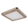 Globo - LED taklampa LED/12W/230V 30x30 cm