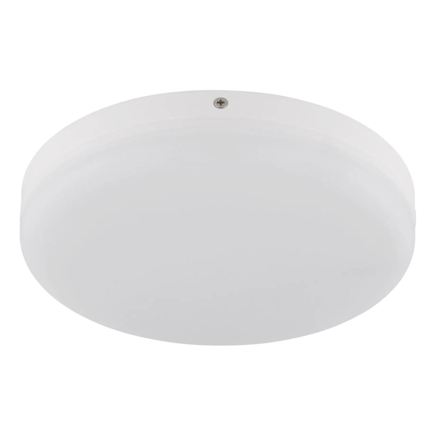 Globo - LED taklampa LED/12W/230V 4000K diameter 22 cm vit
