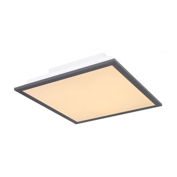 Globo - LED taklampa LED/12W + LED/4W/230V