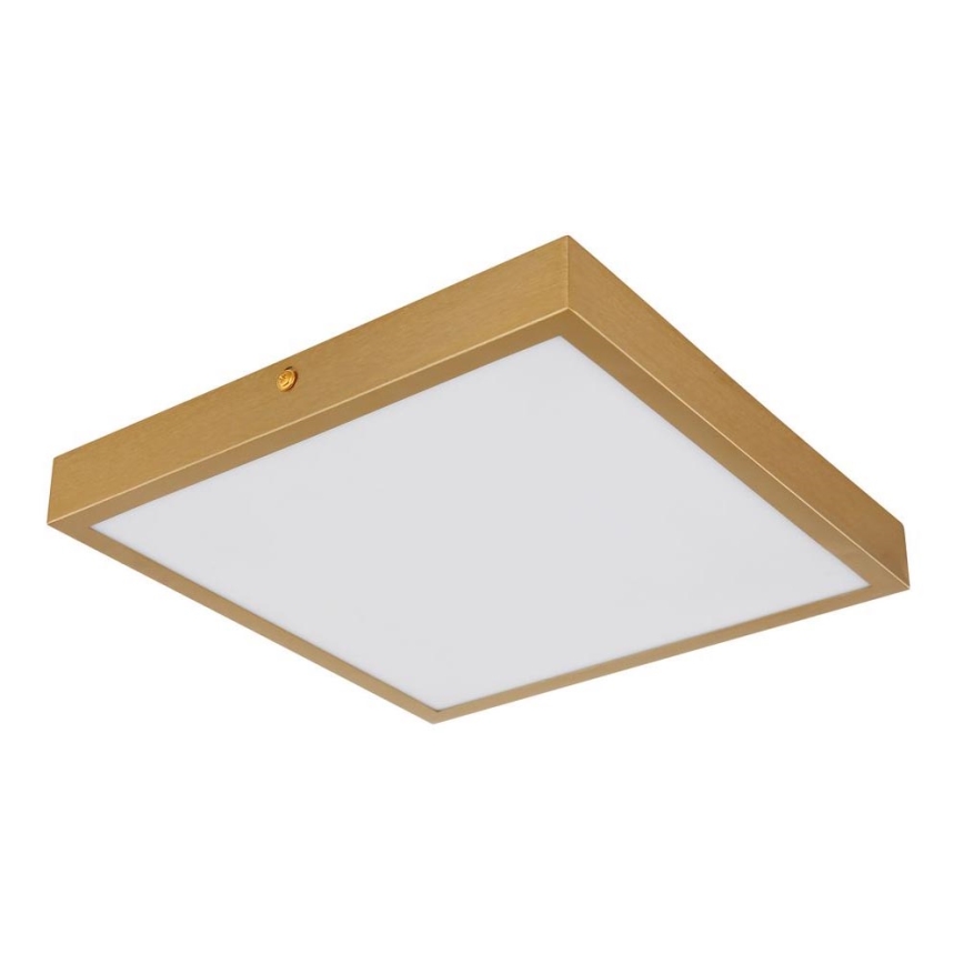 Globo - LED taklampa LED/15W/230V 25x25 cm