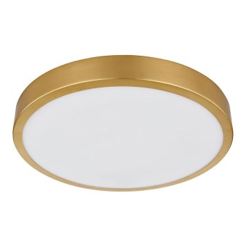 Globo - LED taklampa LED/15W/230V diameter 25 cm