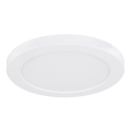 Globo - LED taklampa LED/18W/230V 3000/4000/6500K vit