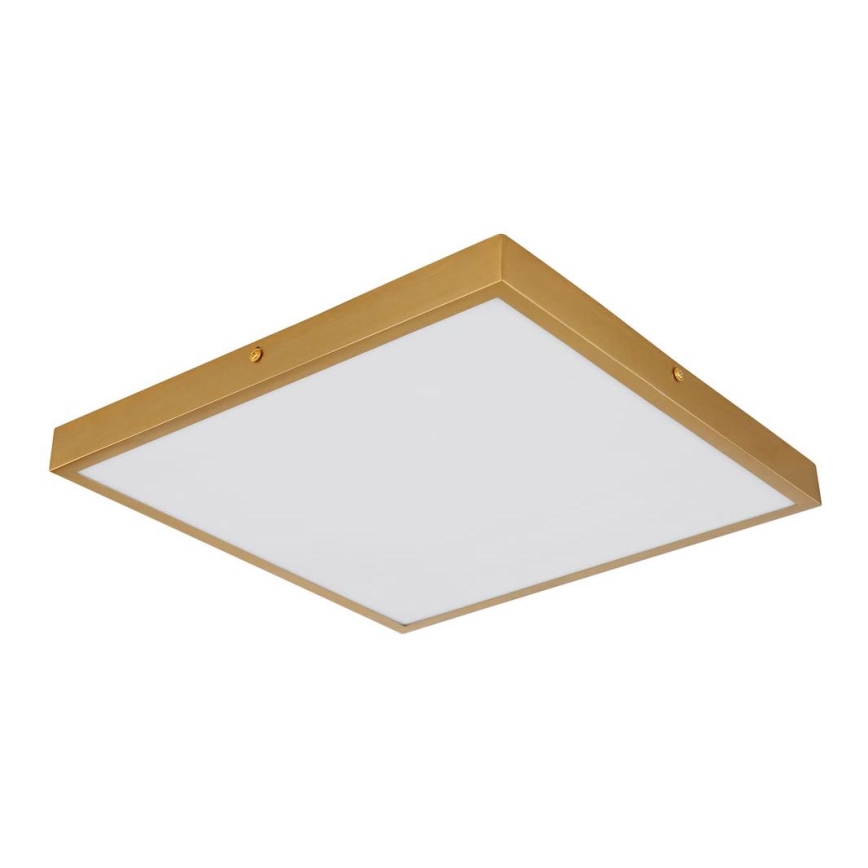 Globo - LED taklampa LED/22W/230V 35x35 cm