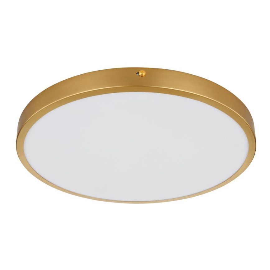 Globo - LED taklampa LED/22W/230V diameter 35 cm