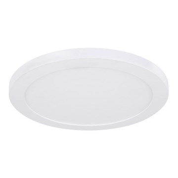 Globo - LED taklampa LED/24W/230V 3000/4000/6500K vit