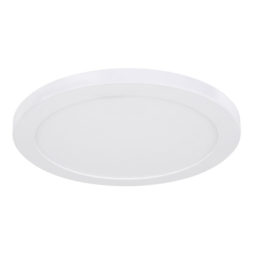 Globo - LED taklampa LED/24W/230V 3000/4000/6500K vit