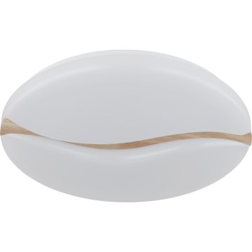 Globo - LED taklampa LED/24W/230V 3000/4200/6000K diameter 33 cm