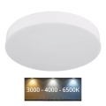 Globo - LED taklampa LED/24W/230V 3000K/4000K/6500K diameter 30 cm vit