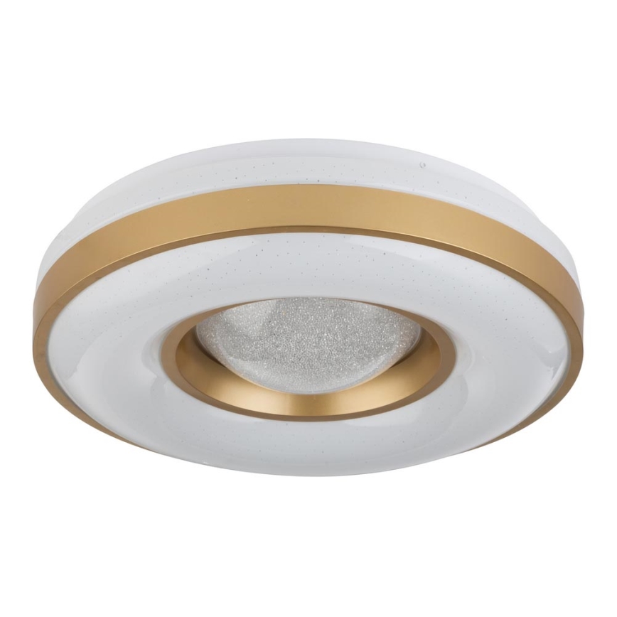 Globo - LED taklampa LED/24W/230V