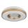 Globo - LED taklampa LED/24W/230V