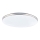GLOBO - LED taklampa LED/24W/230V