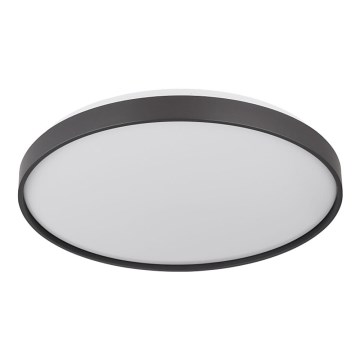Globo - LED taklampa LED/24W/230V