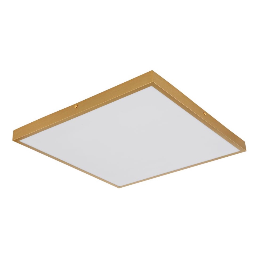Globo - LED taklampa LED/30W/230V 45x45 cm