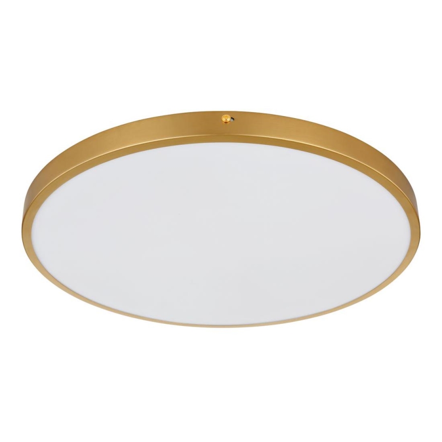 Globo - LED taklampa LED/30W/230V diameter 45 cm
