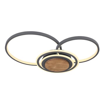Globo - LED taklampa LED/40W/230V