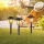 Globo - SET 3x LED Solcellslampa 3xLED/1,2V IP44 200 mAh
