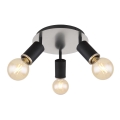 Globo - Spotlampa 3xE27/60W/230V svart trä