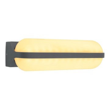 Globo - Utomhus LED vägglampa  LED/20W/230V IP54