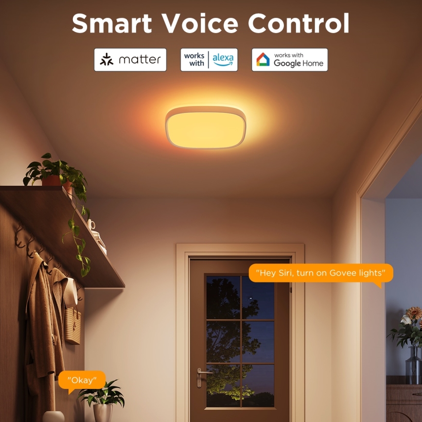 Govee - LED RGBIC Ljusreglerad taklampa LED/24W/230V 2700-6500K Wi-Fi