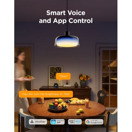 Govee - LED RGBICWW Dimbar taklampa med vajer LED/21W/230V Matter Wi-Fi