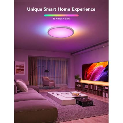 Govee - LED RGBICWW Dimmbar taklampa LED/29W/230V Ø 30 cm matt Wi-Fi