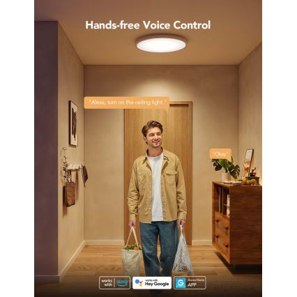 Govee - LED RGBICWW Dimmbar taklampa LED/29W/230V Ø 30 cm matt Wi-Fi