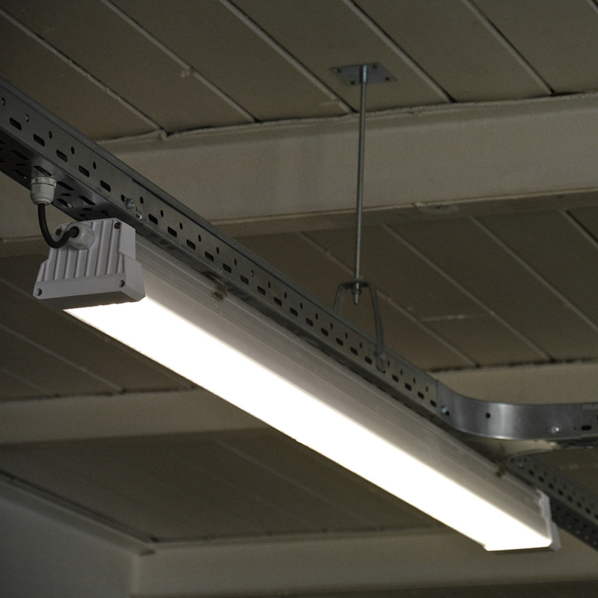 Greenlux GXWP381 - LED lysrör arbetsbelysning DUST PROFI MILK LED/53W/230V 4000K IP66