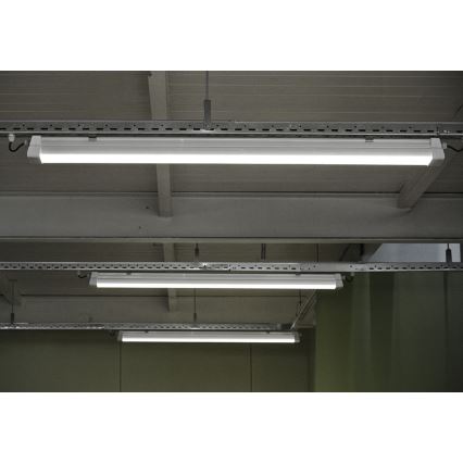 Greenlux GXWP381 - LED lysrör arbetsbelysning DUST PROFI MILK LED/53W/230V 4000K IP66