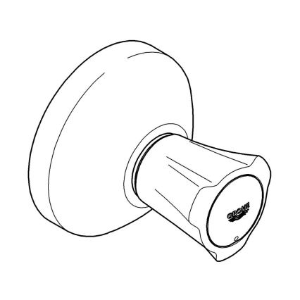 GROHE 19809001 - Överdel till inbyggd ventil COSTA L, blank krom